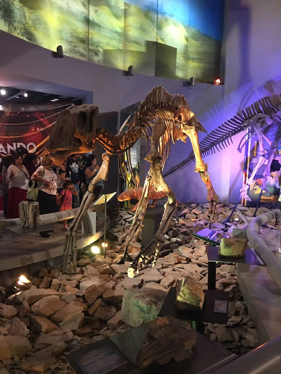 Chihuahuan Desert Focus