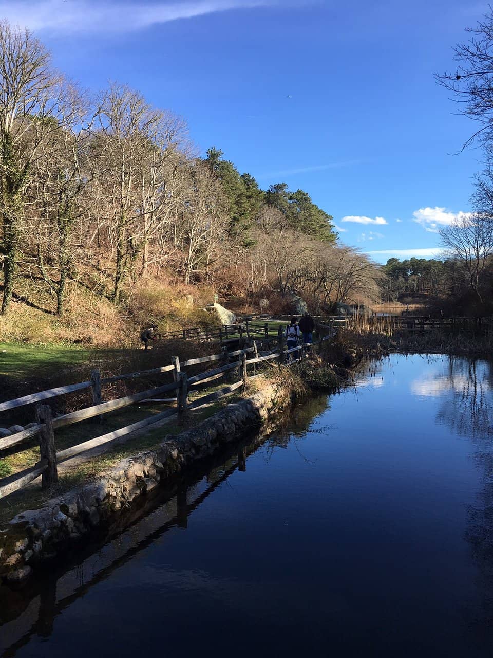Fish Ladders and Pond