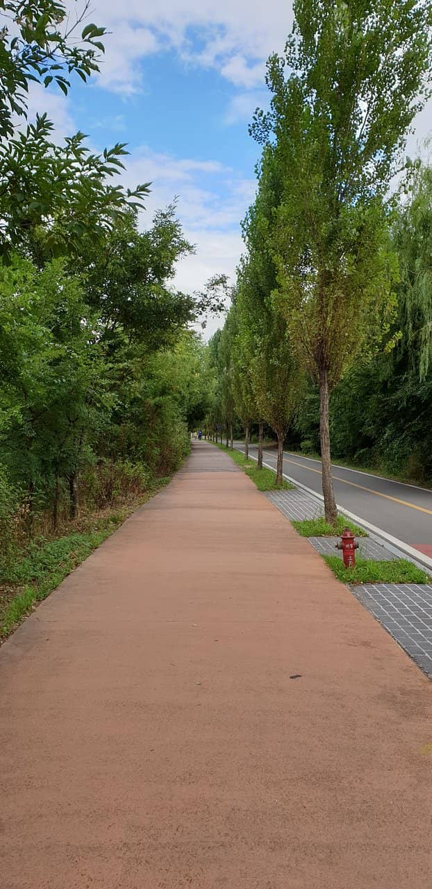 Panoramic Seoul Skyline