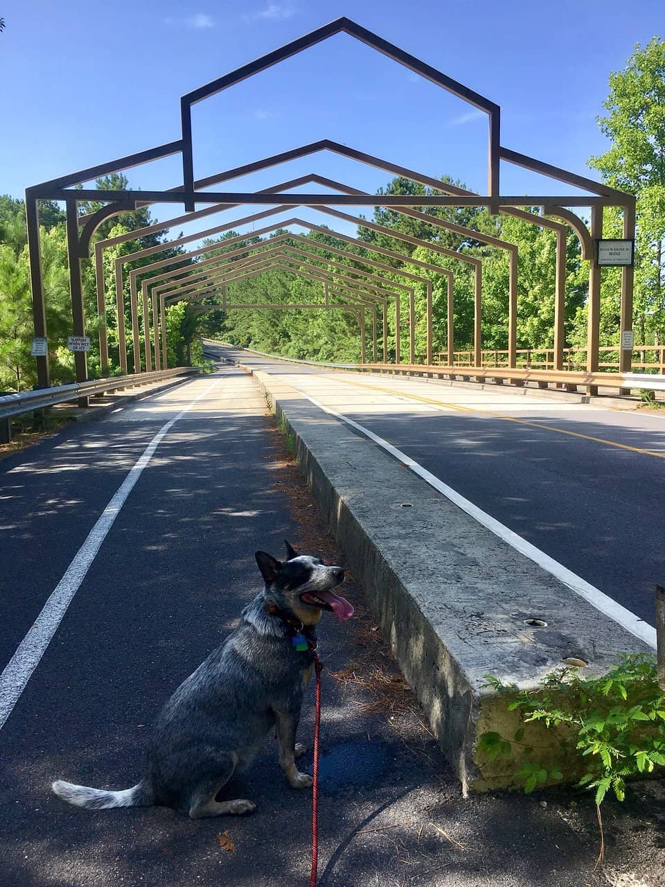 Extensive Trail Network