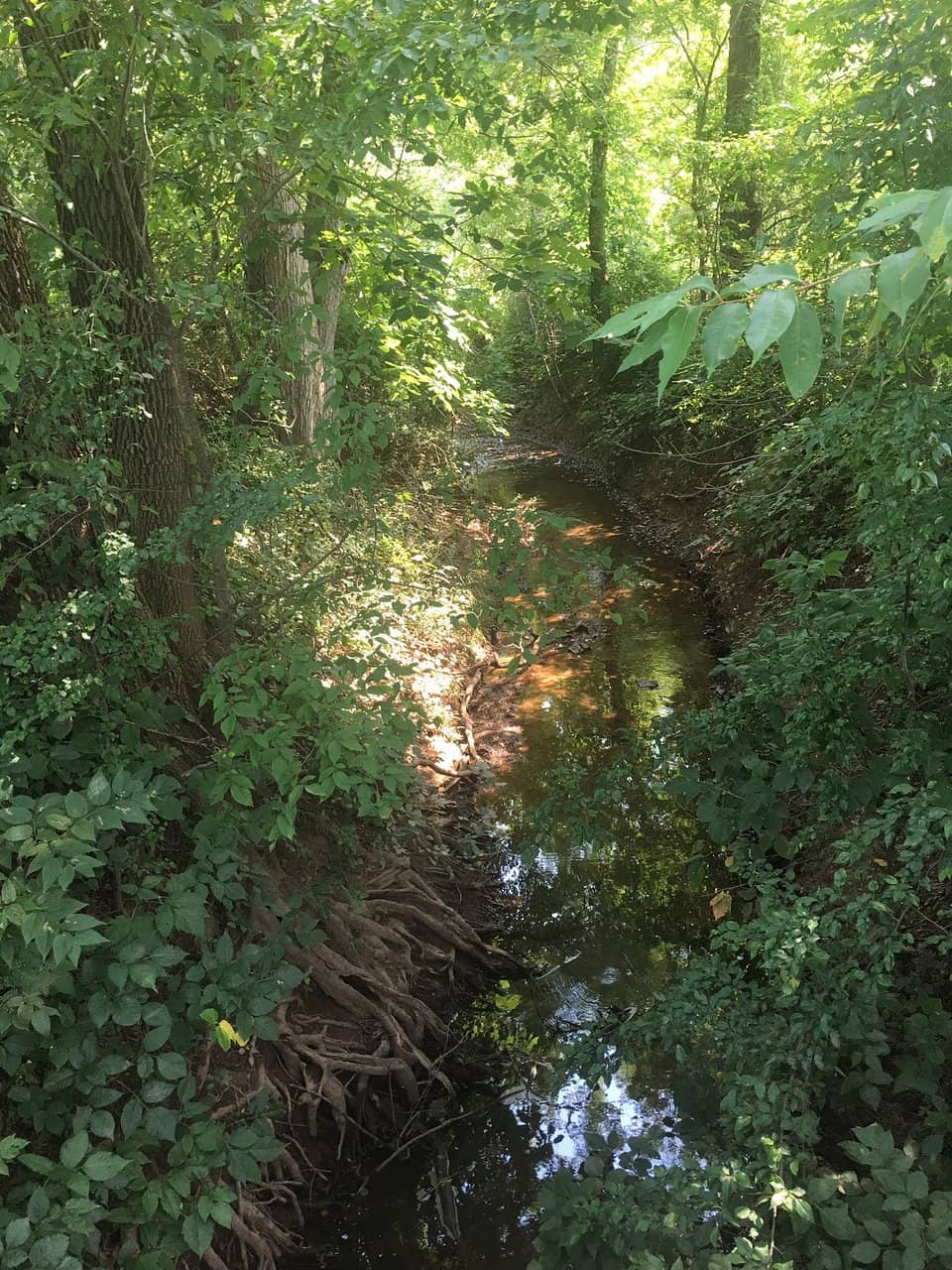 Summer Entertainment