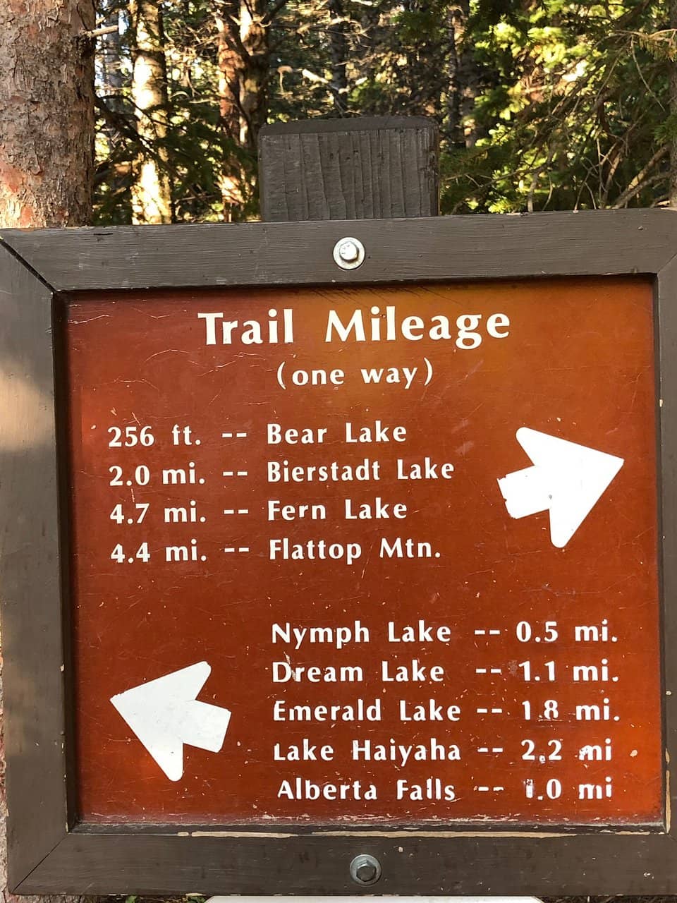 Emerald Lake's Turquoise Waters