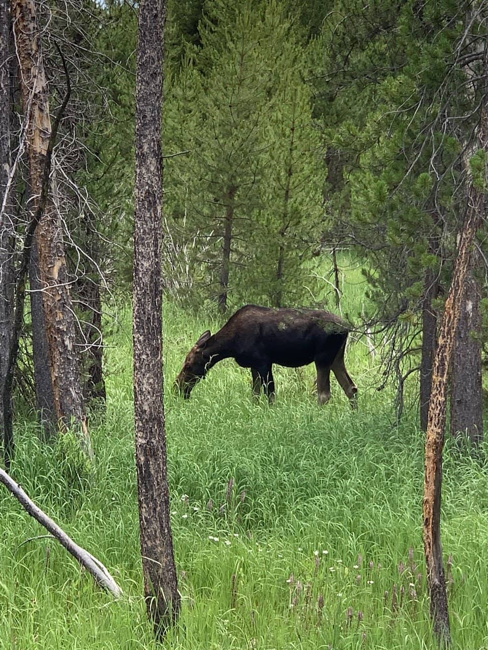 Rocky Mountain National Park Exhibits