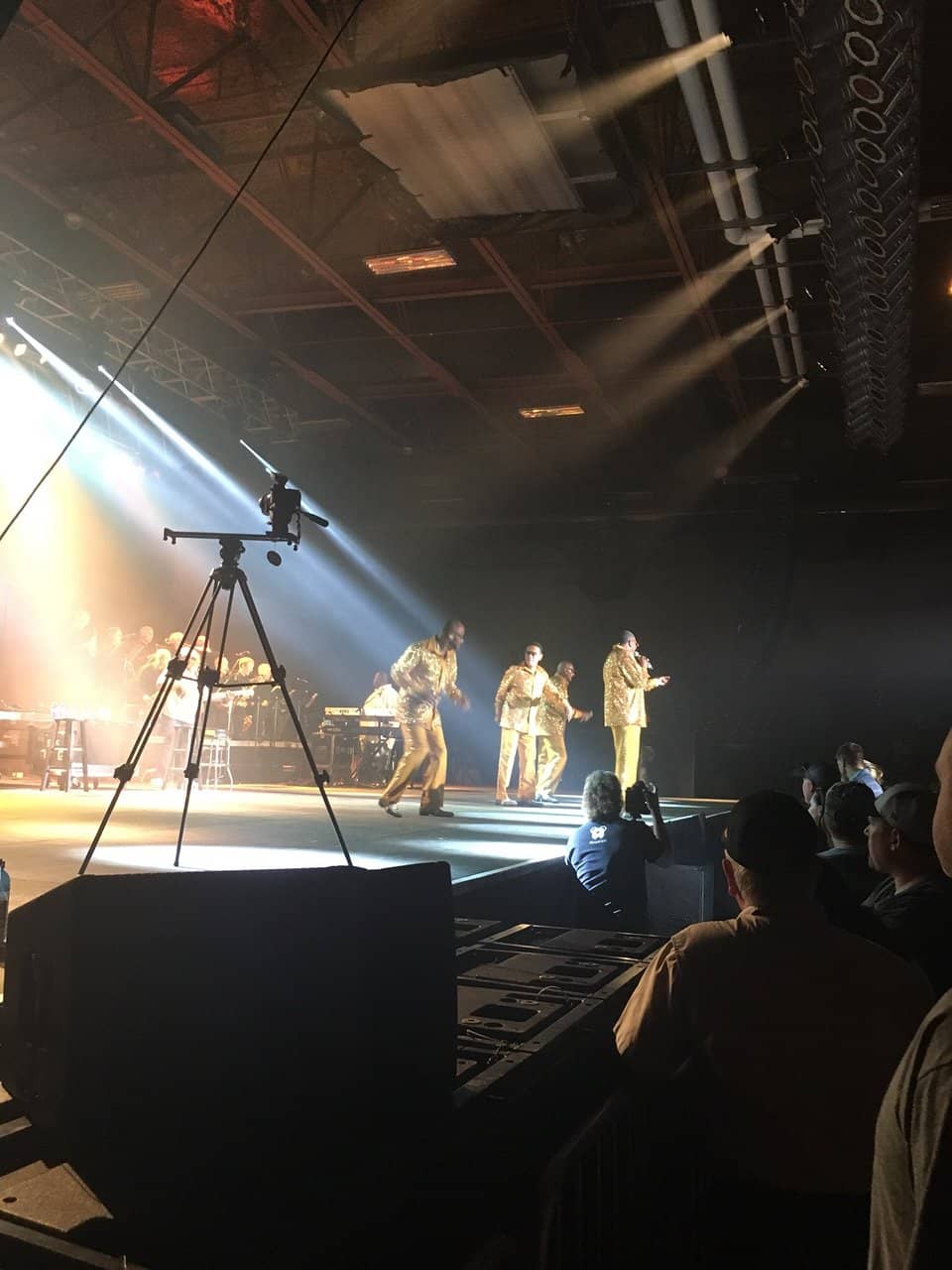 Budweiser Clydesdales