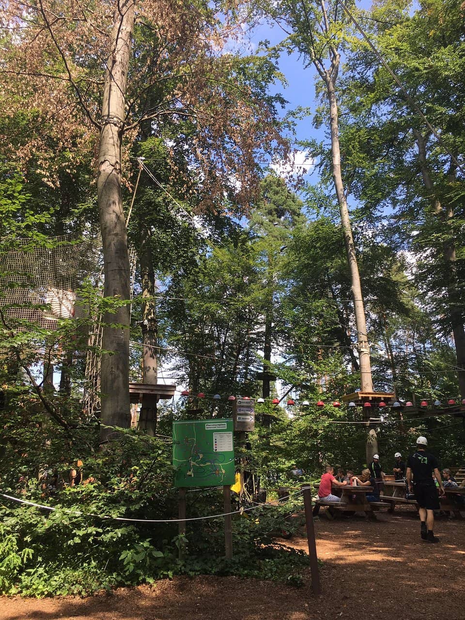 Forest Canopy Adventure