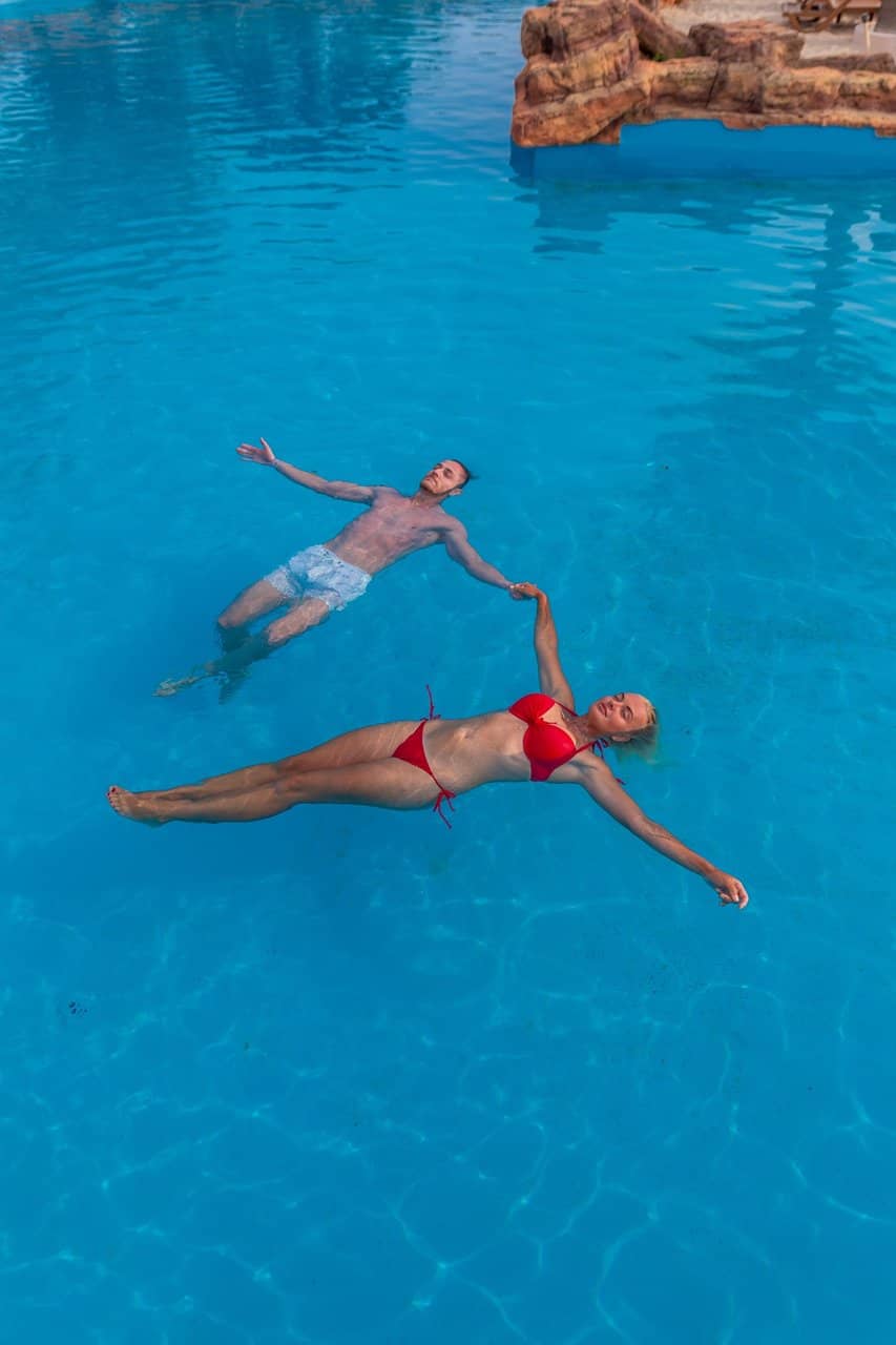 Dolphin & Seal Shows