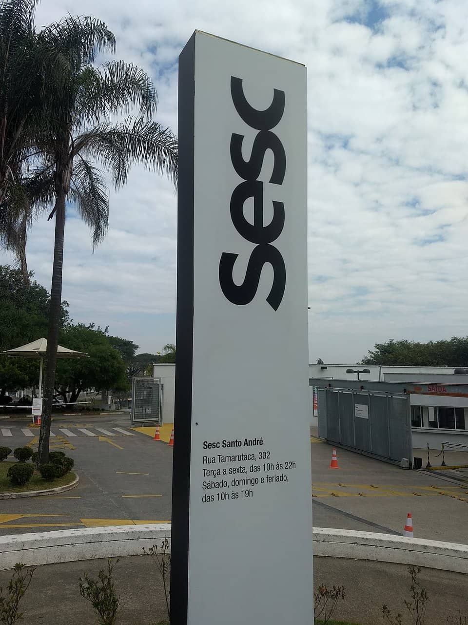 Live Music Performances