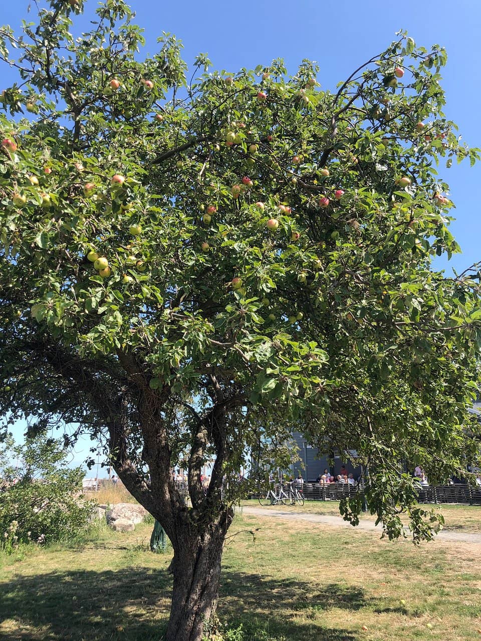 Coastal Walks & Views