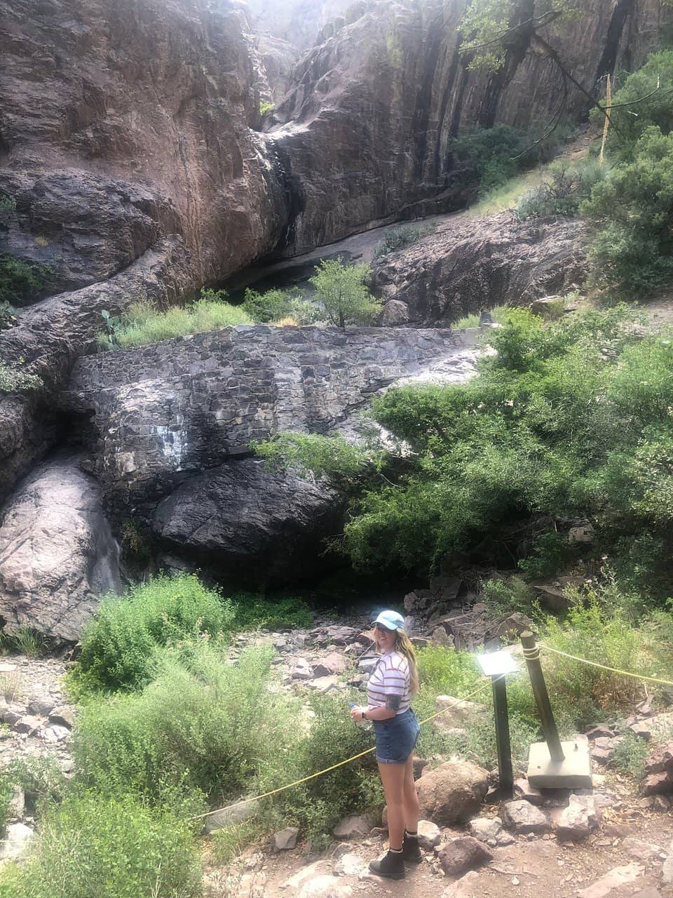 Organ Mountains Views