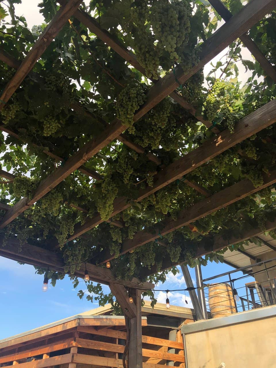 Artisan Cheese Board