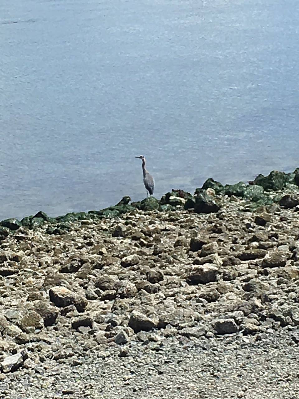 Kitsap 9/11 Memorial