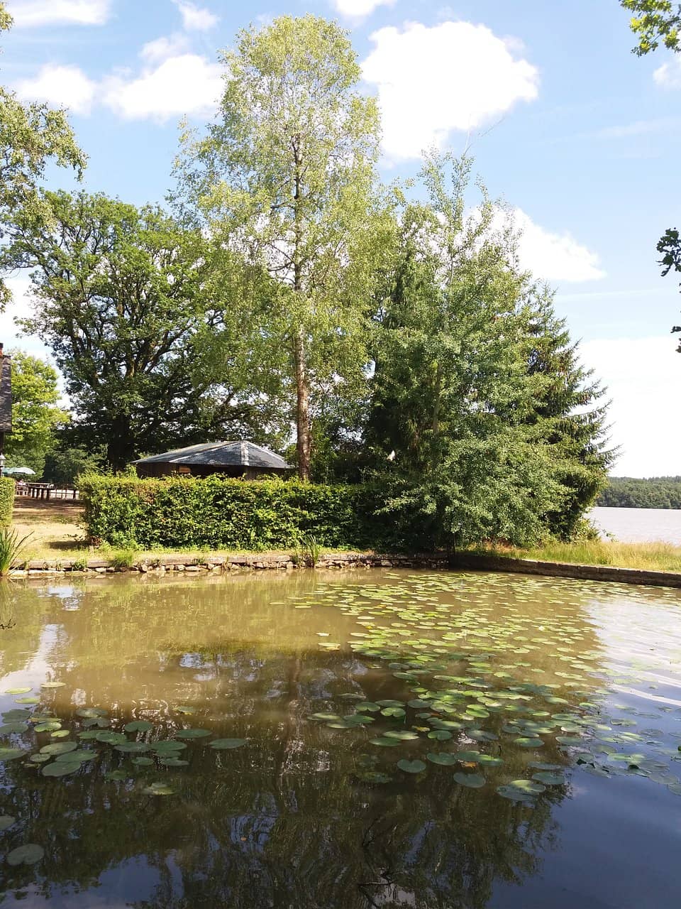 Treetop Adventure Course