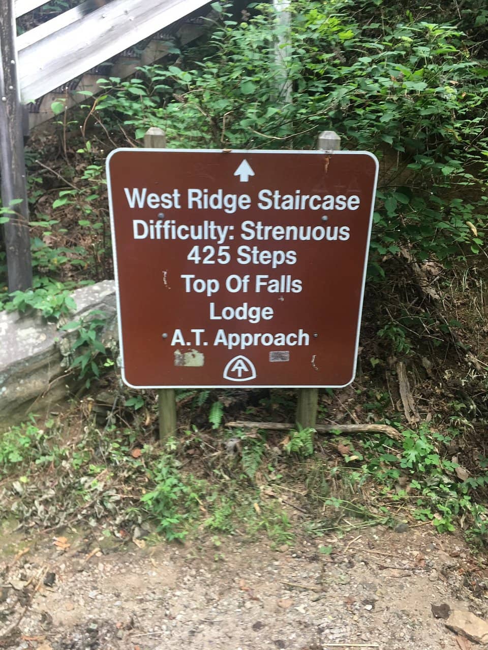 Gwynn Creek's Serene Waters