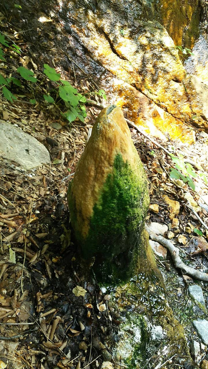 Hakusan White Road Scenery