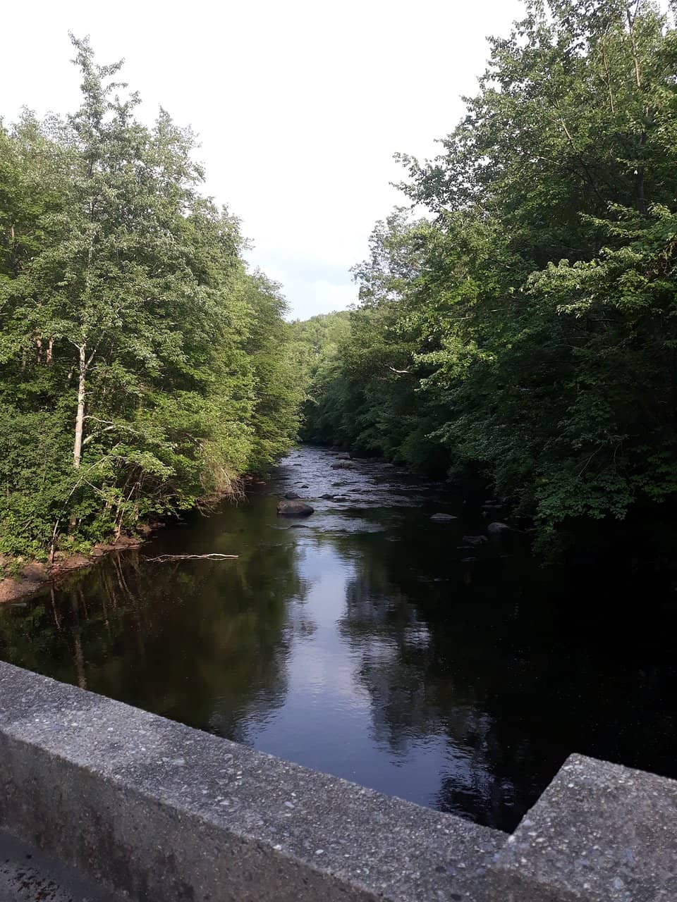 Westville Dam Overlook