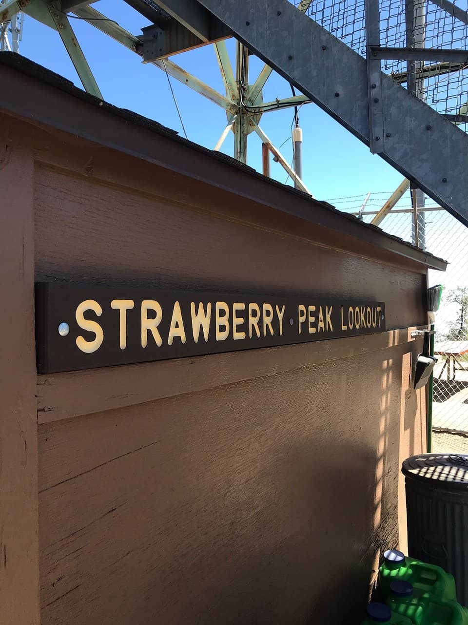 Local Insights from Volunteers