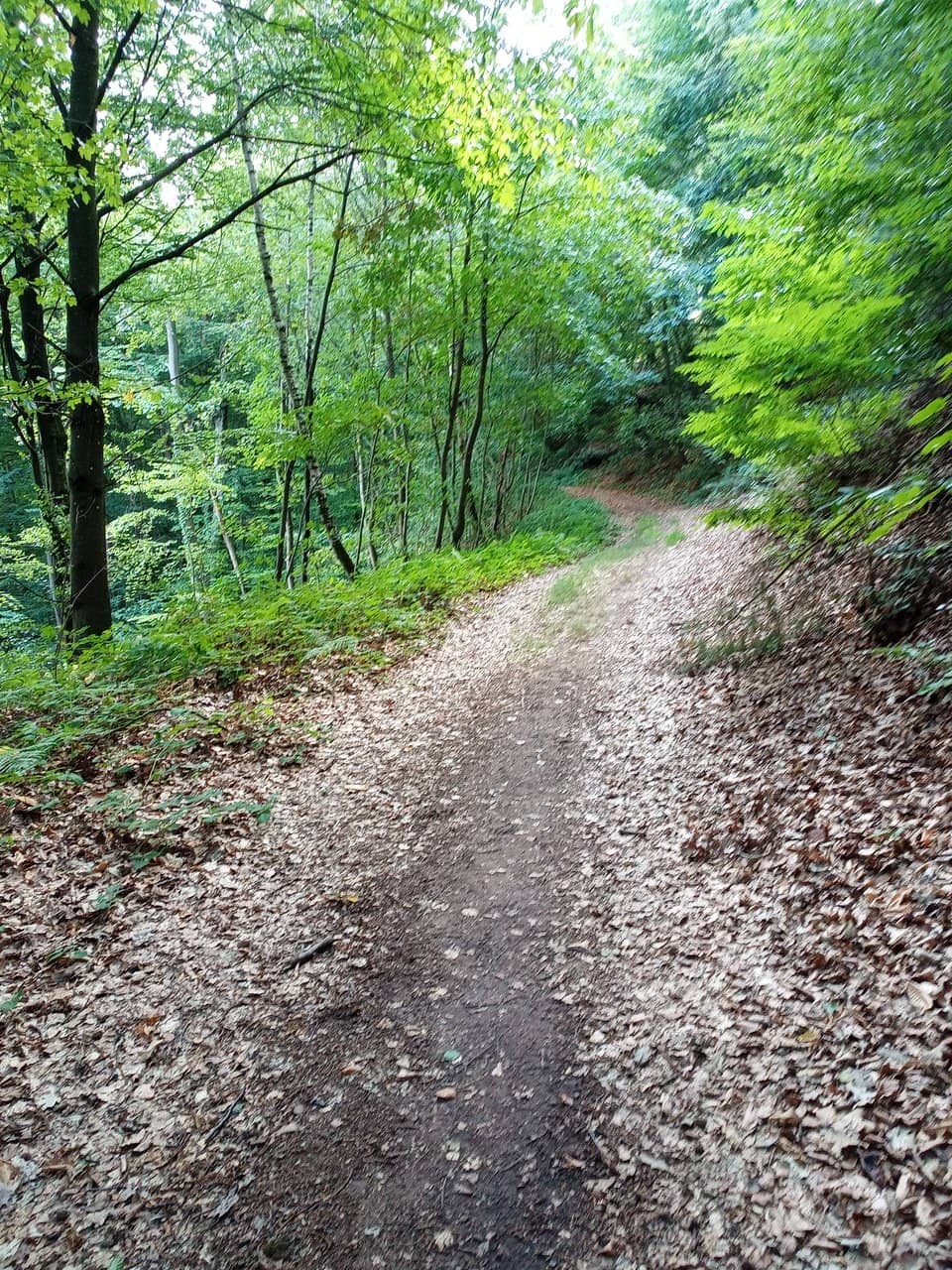 Bergpark Wilhelmshöhe Water Show