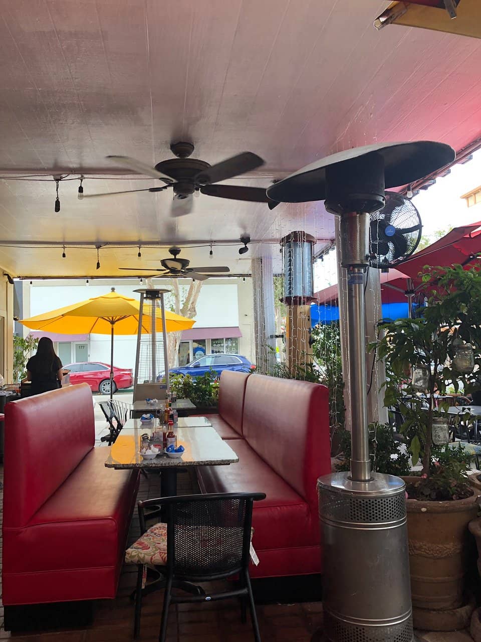 Dog-Friendly with Special Requests