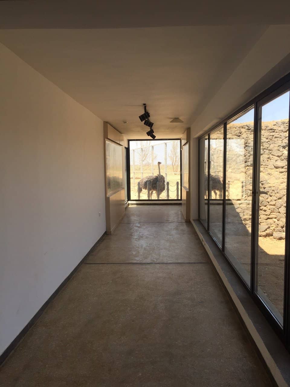 Birdwatching Opportunities