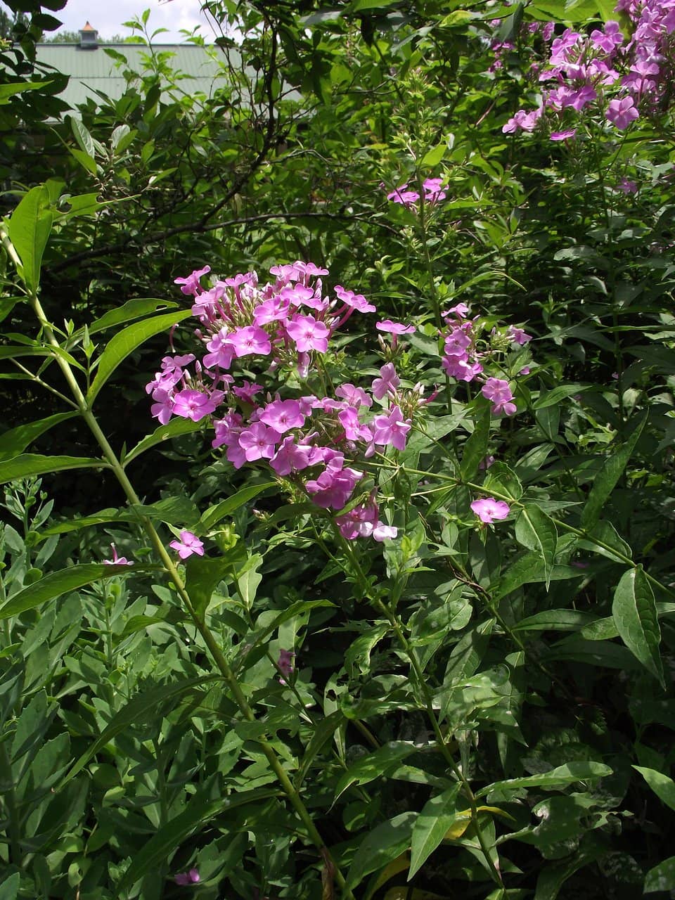 Interactive Play Zones