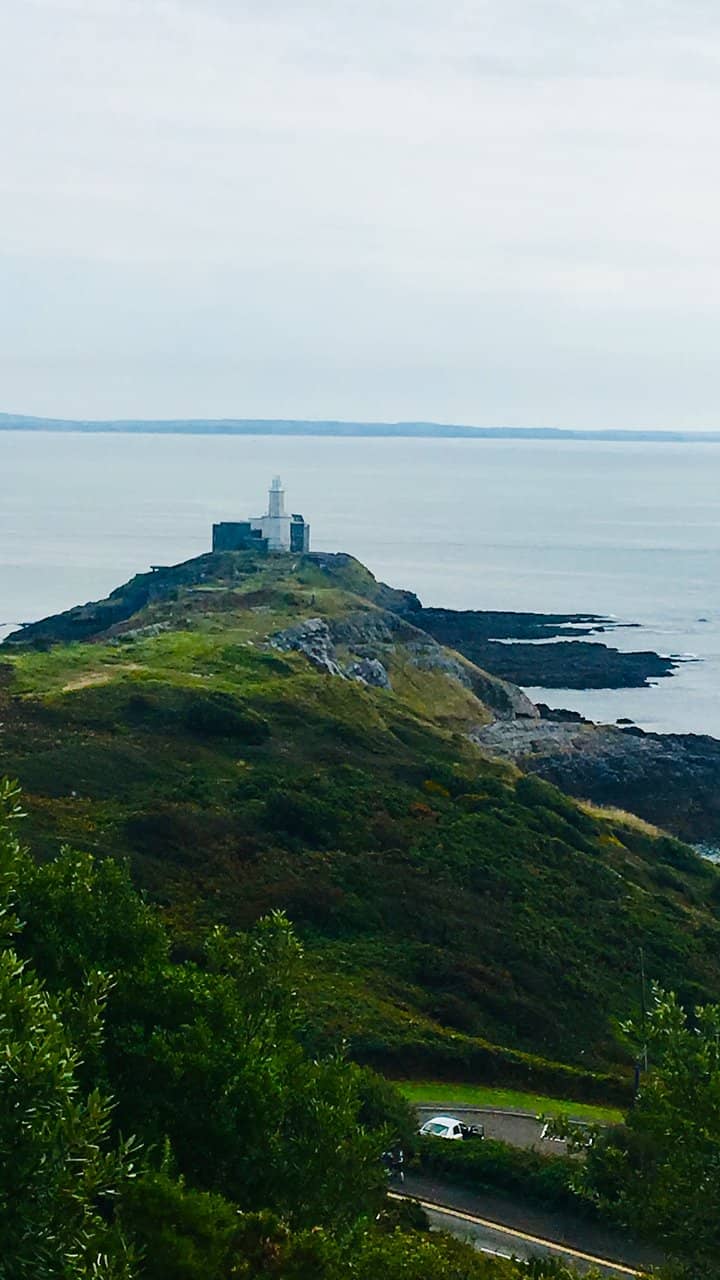 Diverse Flora and Fauna