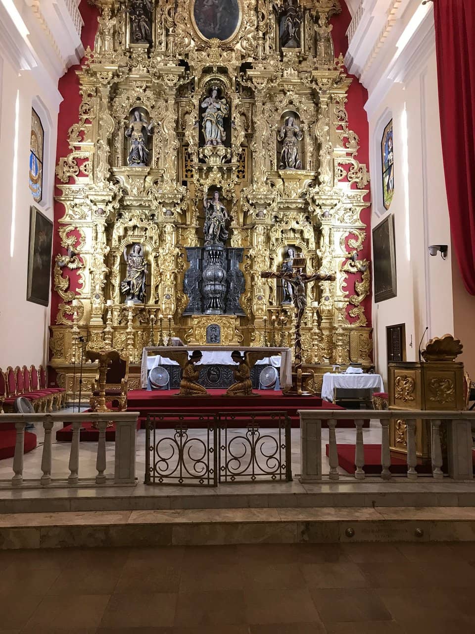 Green Oasis in the City