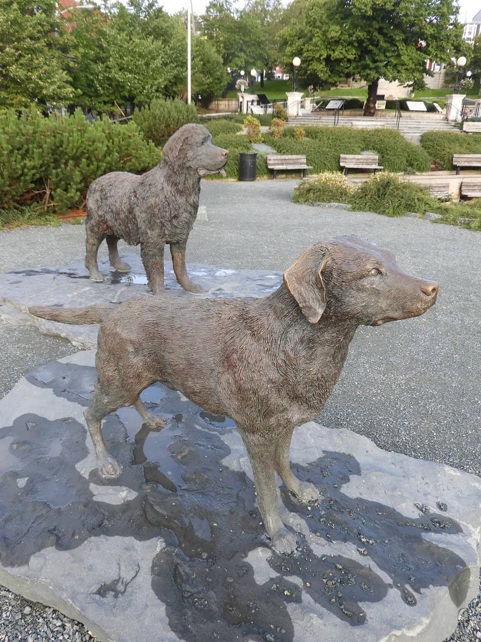 Informational History Boards