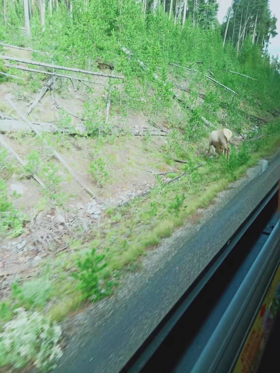 Porcelain Basin Boardwalk