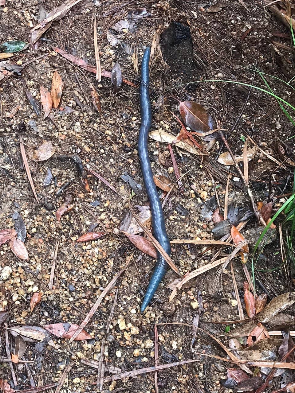 Diverse Trail Scenery