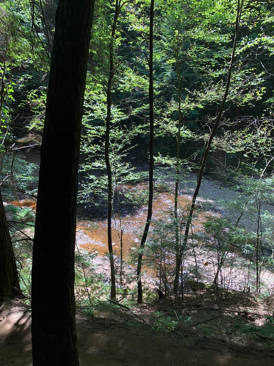 World's Largest Pencil Sharpener Collection