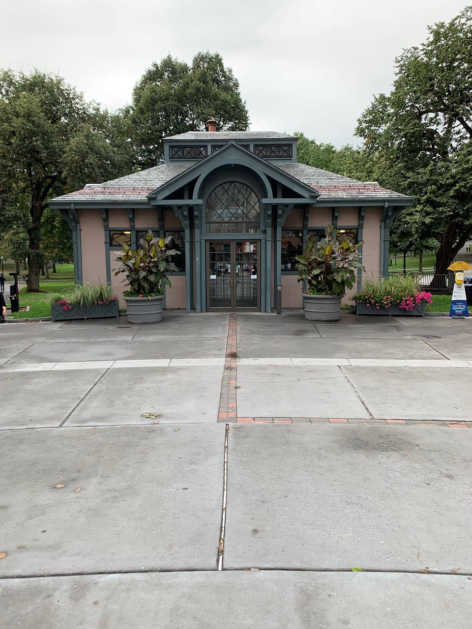 Local Insights & Maps