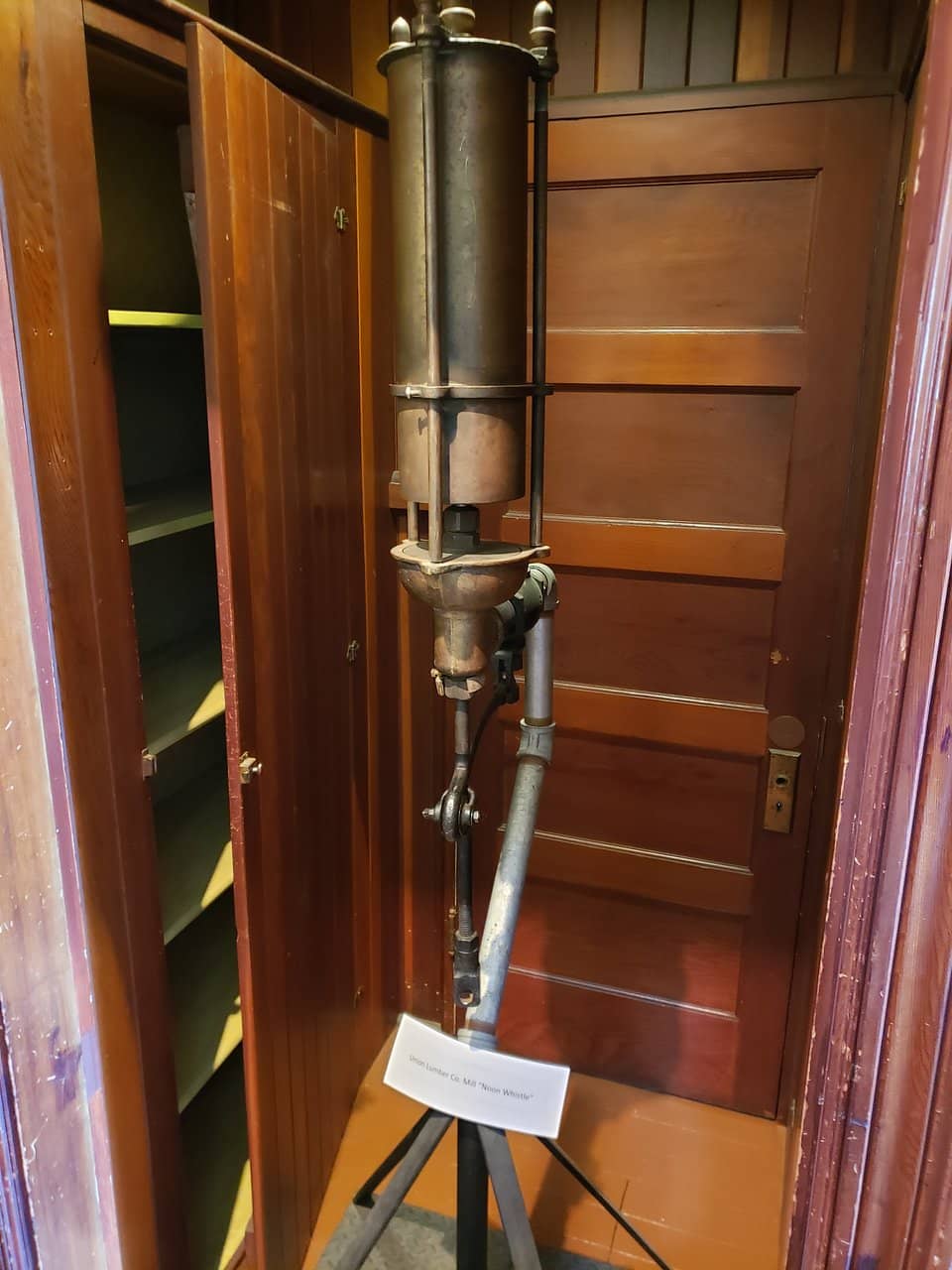 Largest Redwood Tree Piece