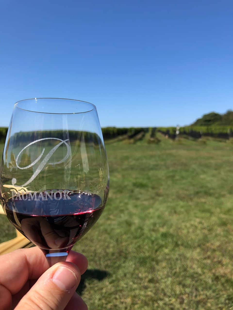 Gourmet Food Pairings