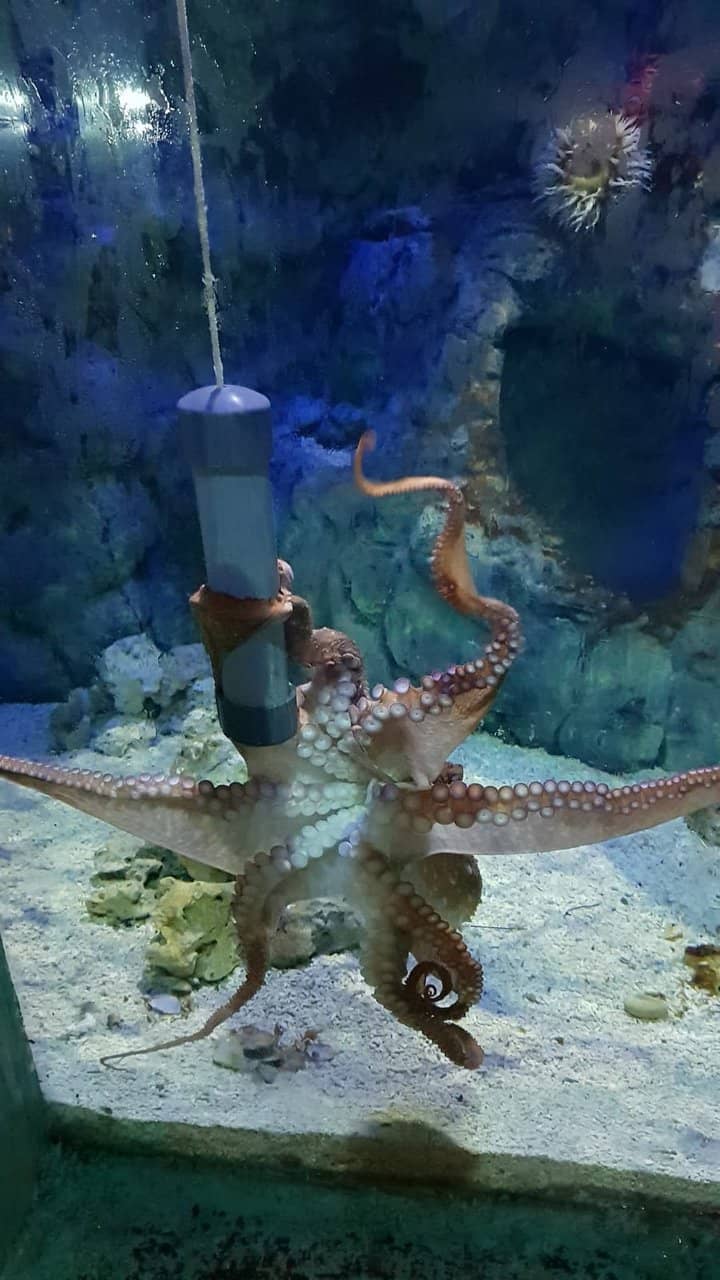 Interactive Displays