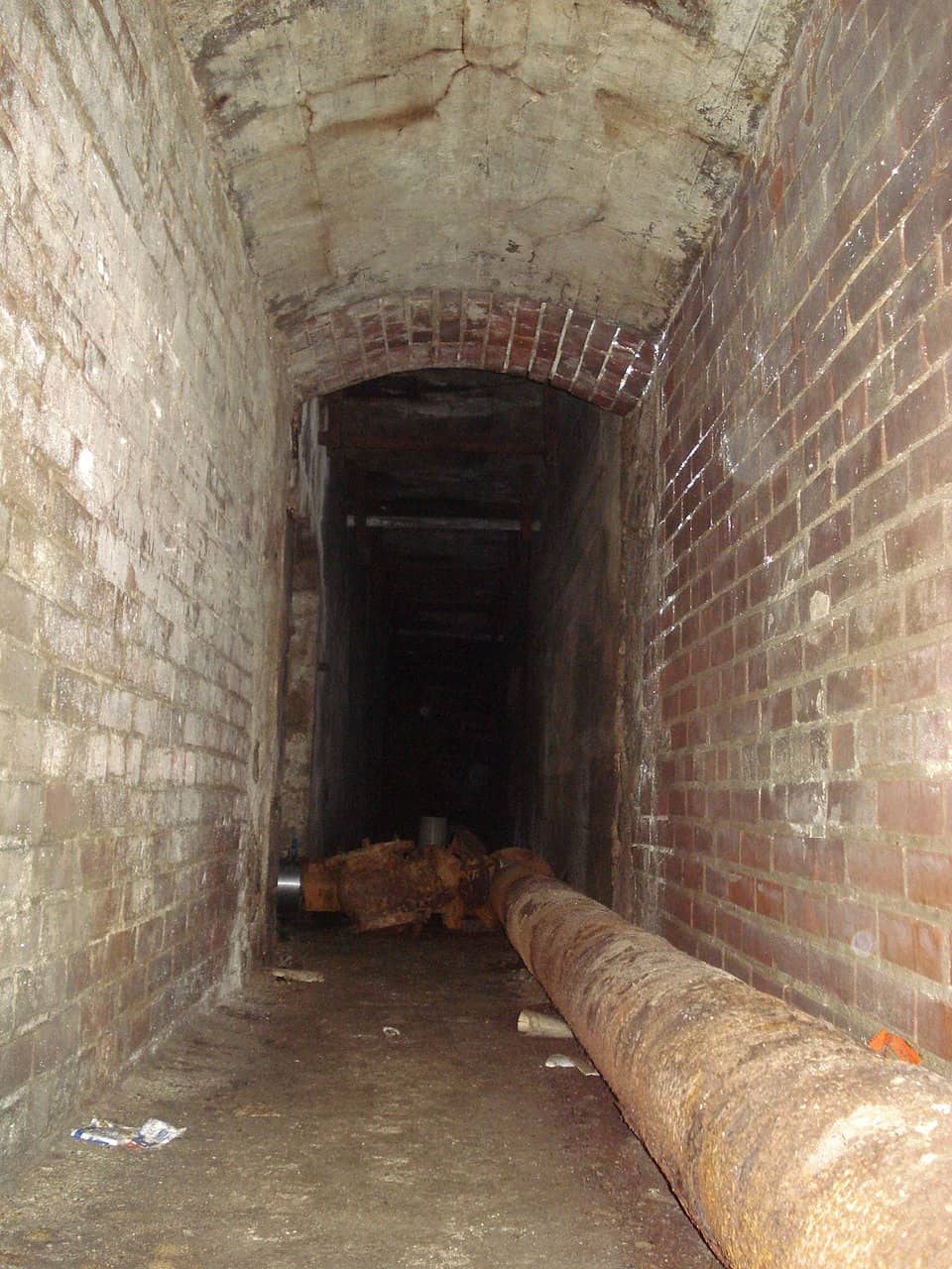 Haunted House Experience