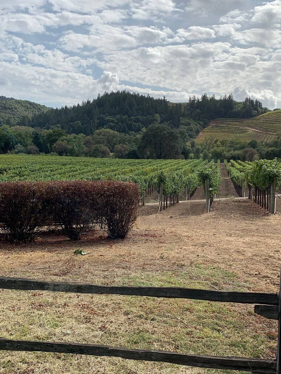 Exceptional Wine Selection