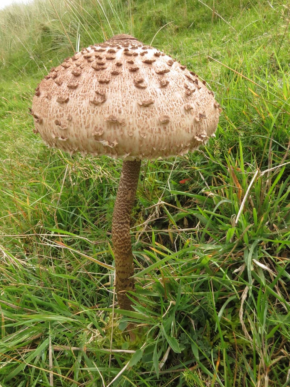 Architect-Designed Welcome Centre