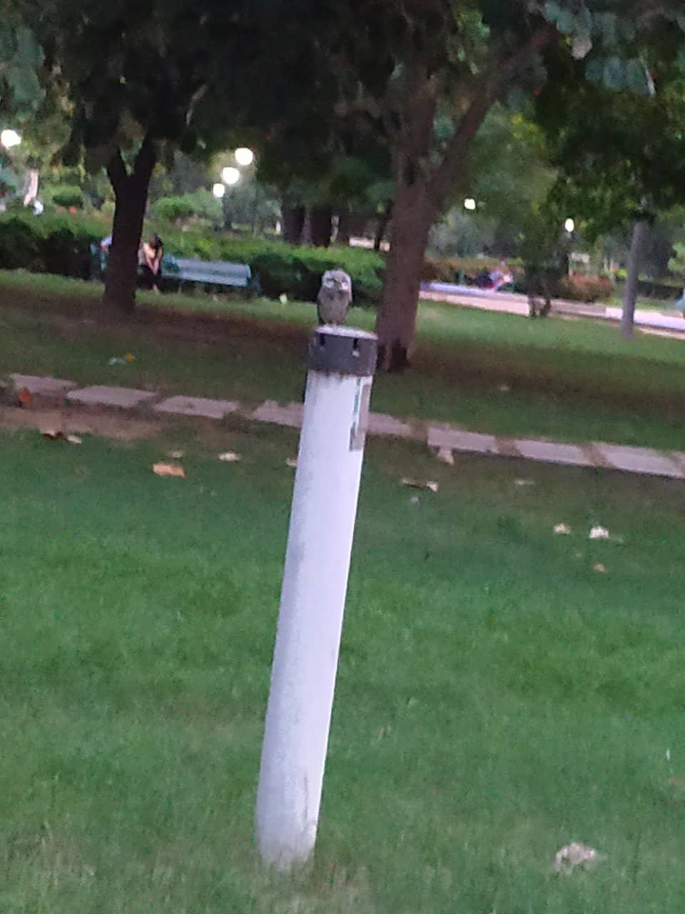 Children's Play Area