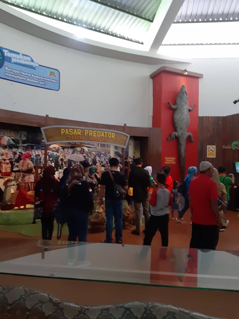 Interactive Animal Exhibits