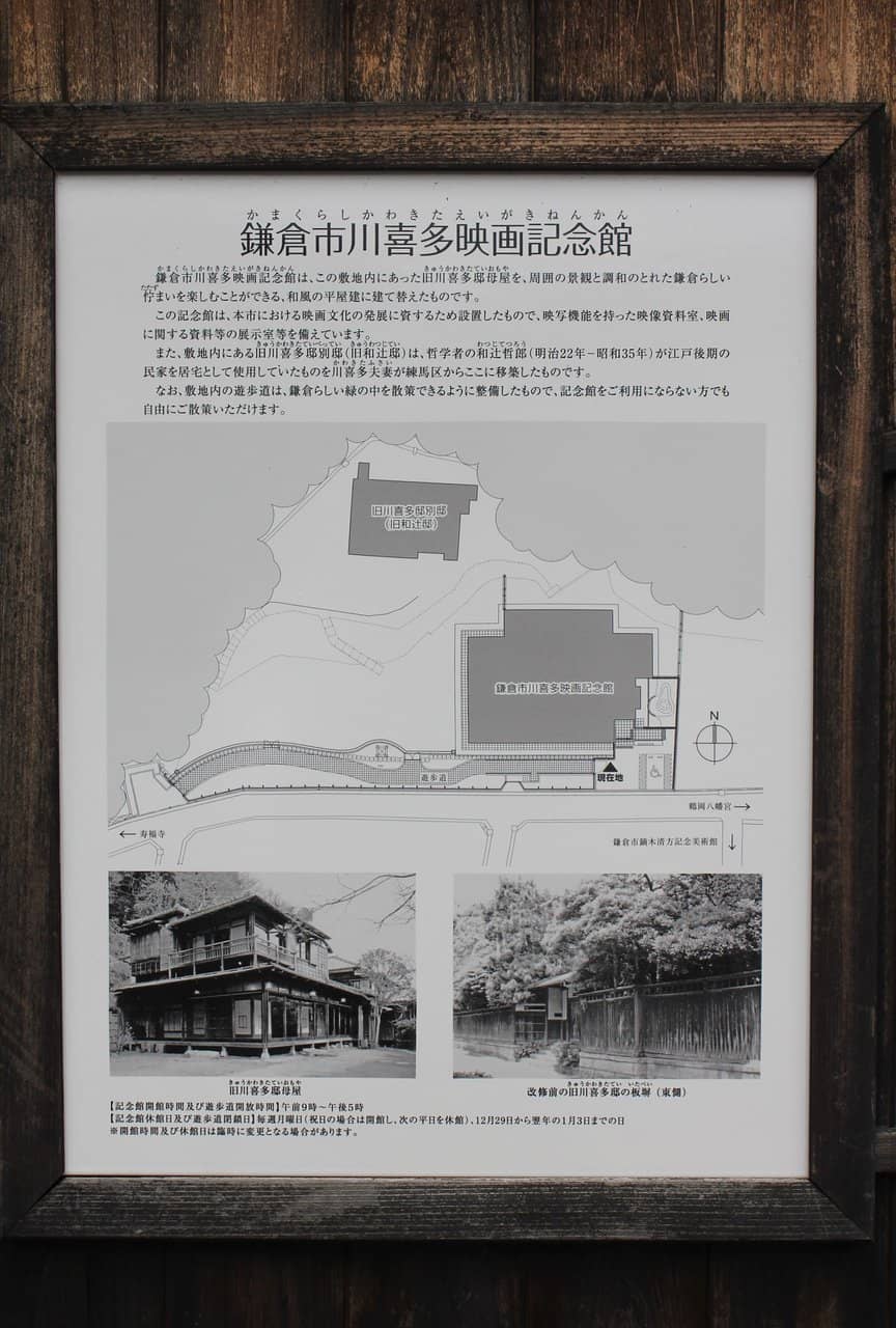 Public Film Screenings