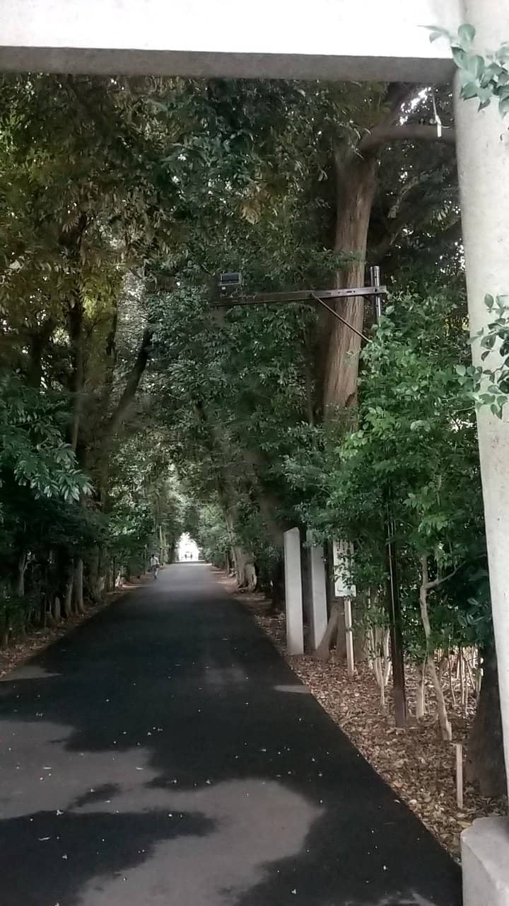 Chinju no Mori (Sacred Forest)