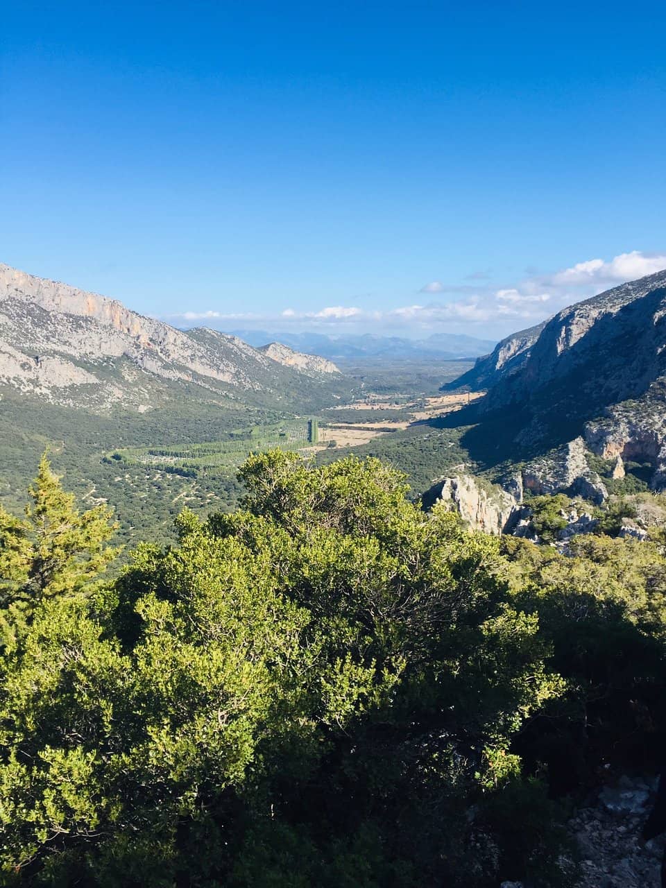 The Challenging Ascent