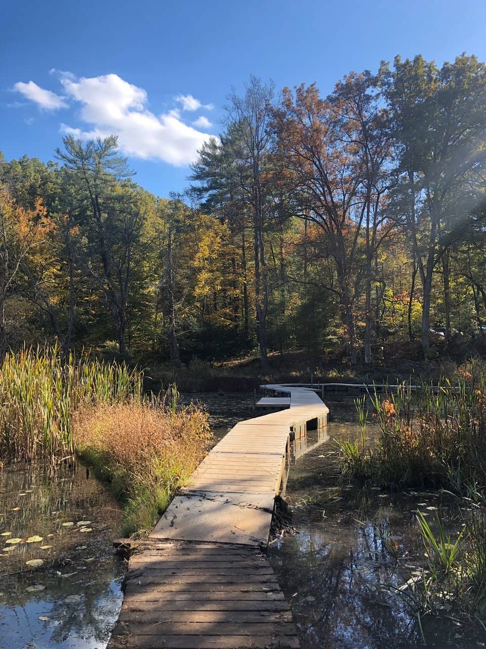 Nature Center Wonders