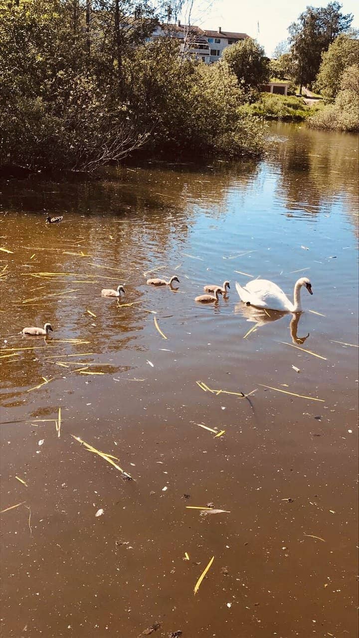 Birdwatcher's Paradise