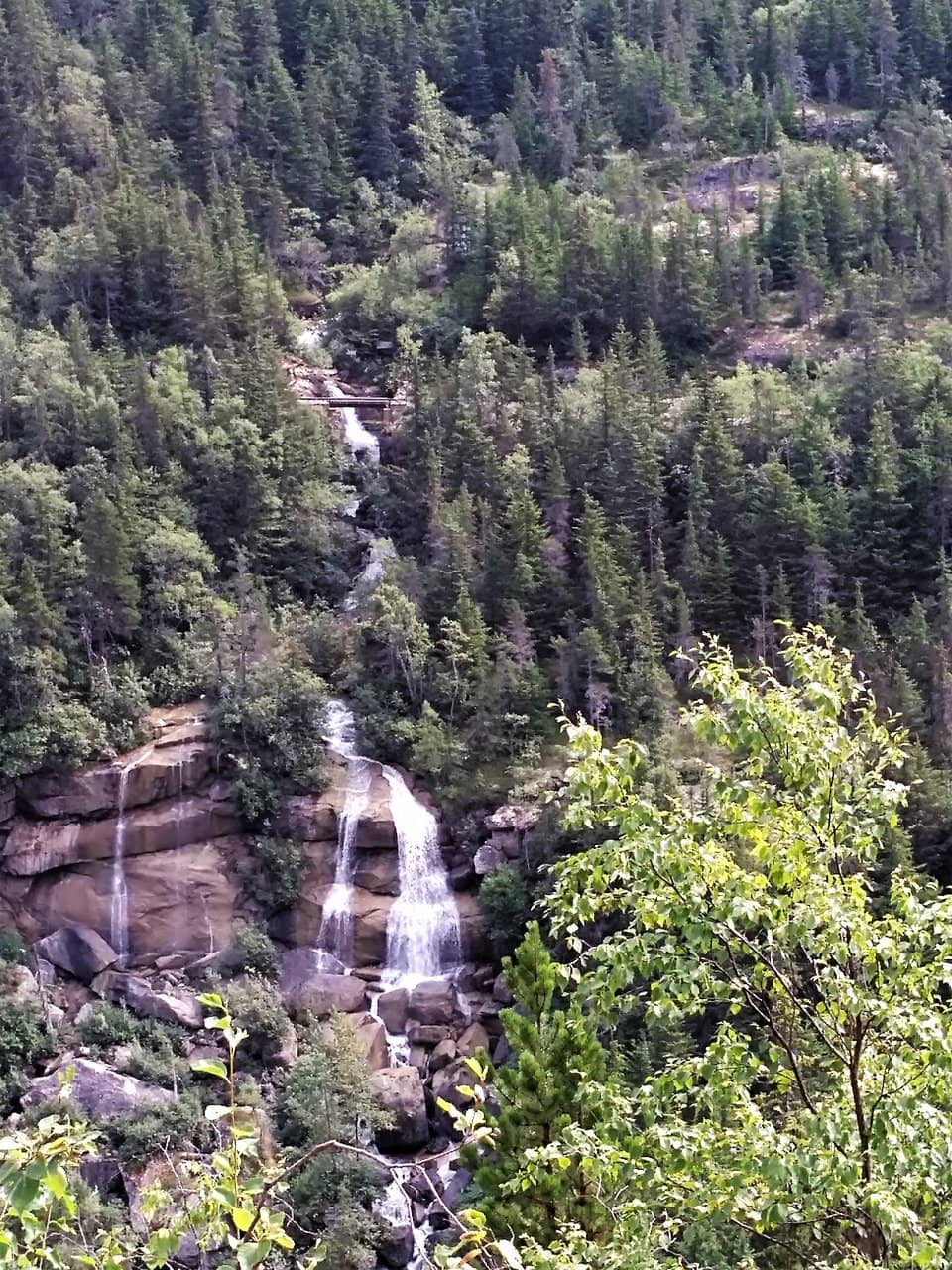The Forked Cascade