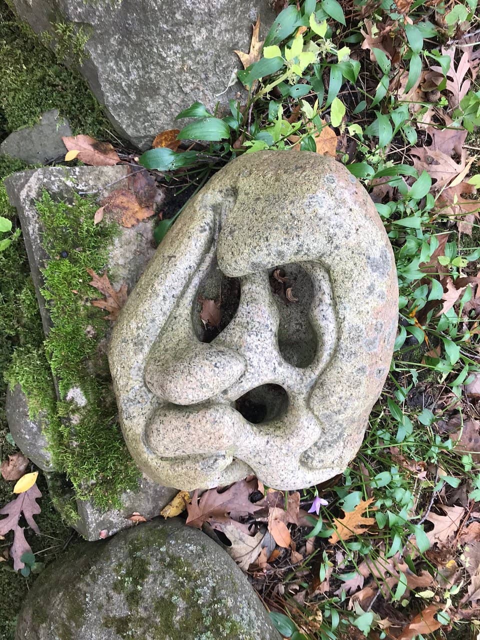 Amphitheater Ambiance