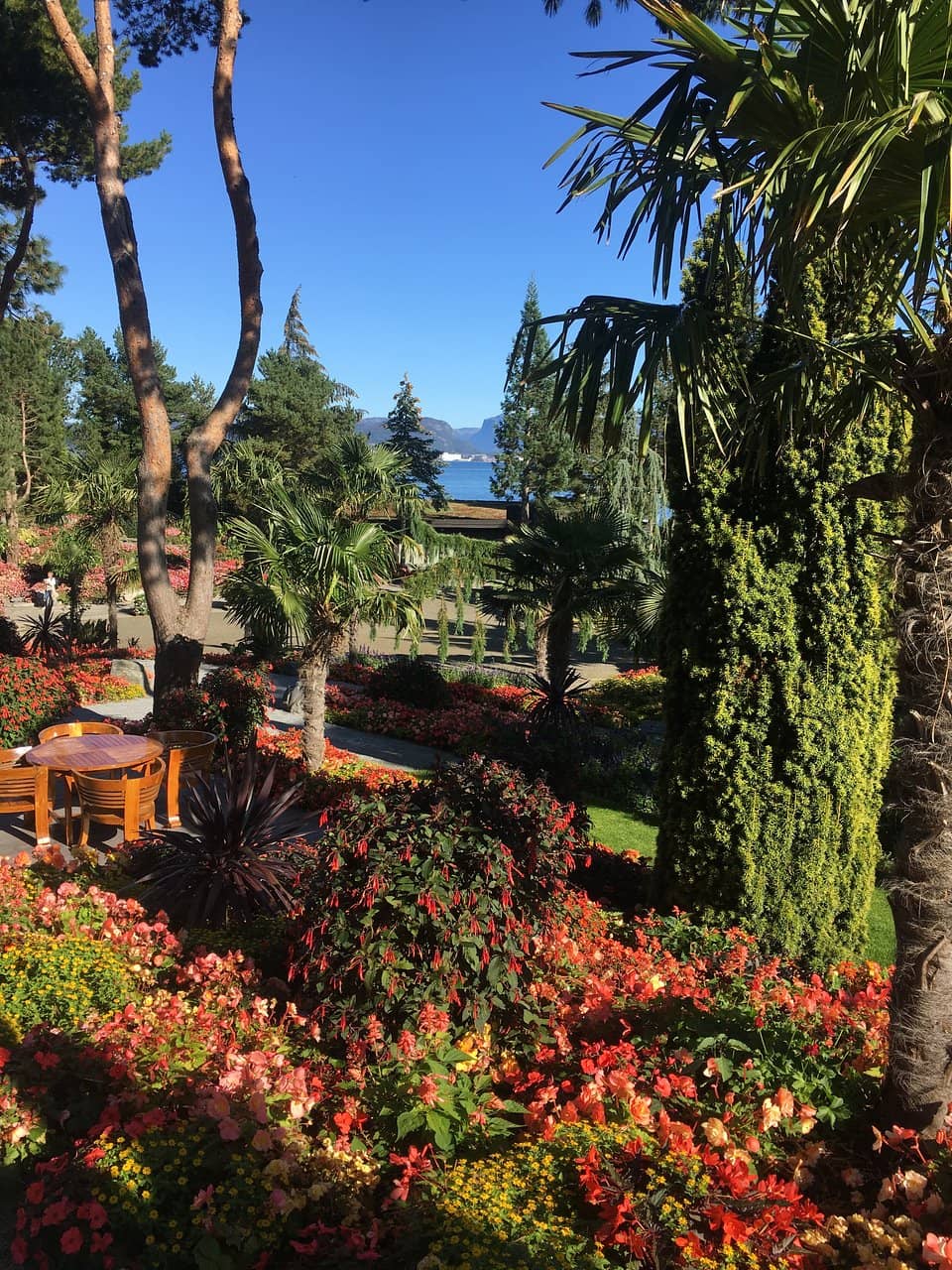 The Jungle Restaurant