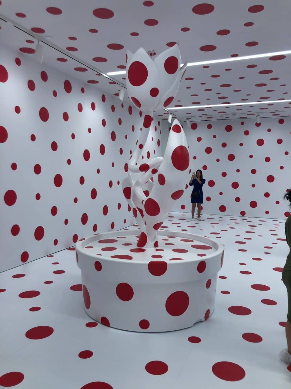 Permanent Collection