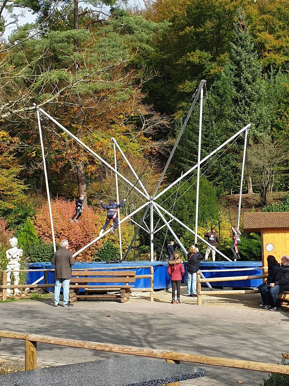 Wildwechsel Rollercoaster