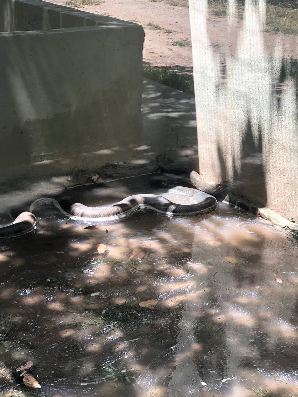 Encounter Native Wildlife